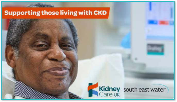 A patient undergoing kidney treatment in hospital